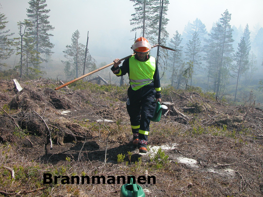 Rapport om skogbrannberedskapen