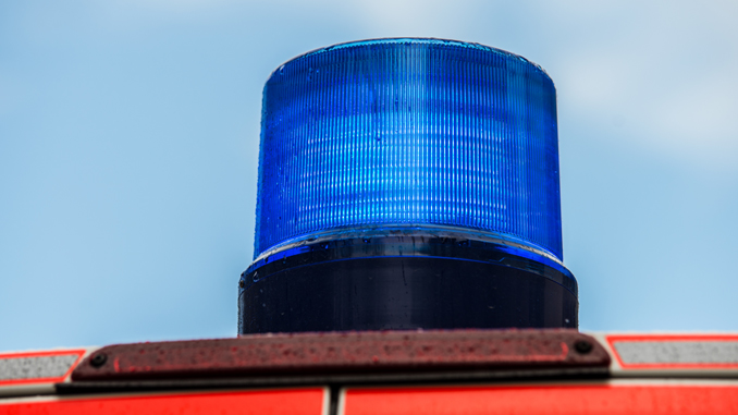 DANMARK: FLERE PROBLEMSTILLINGER RUNDT DELTIDSBEMANNING